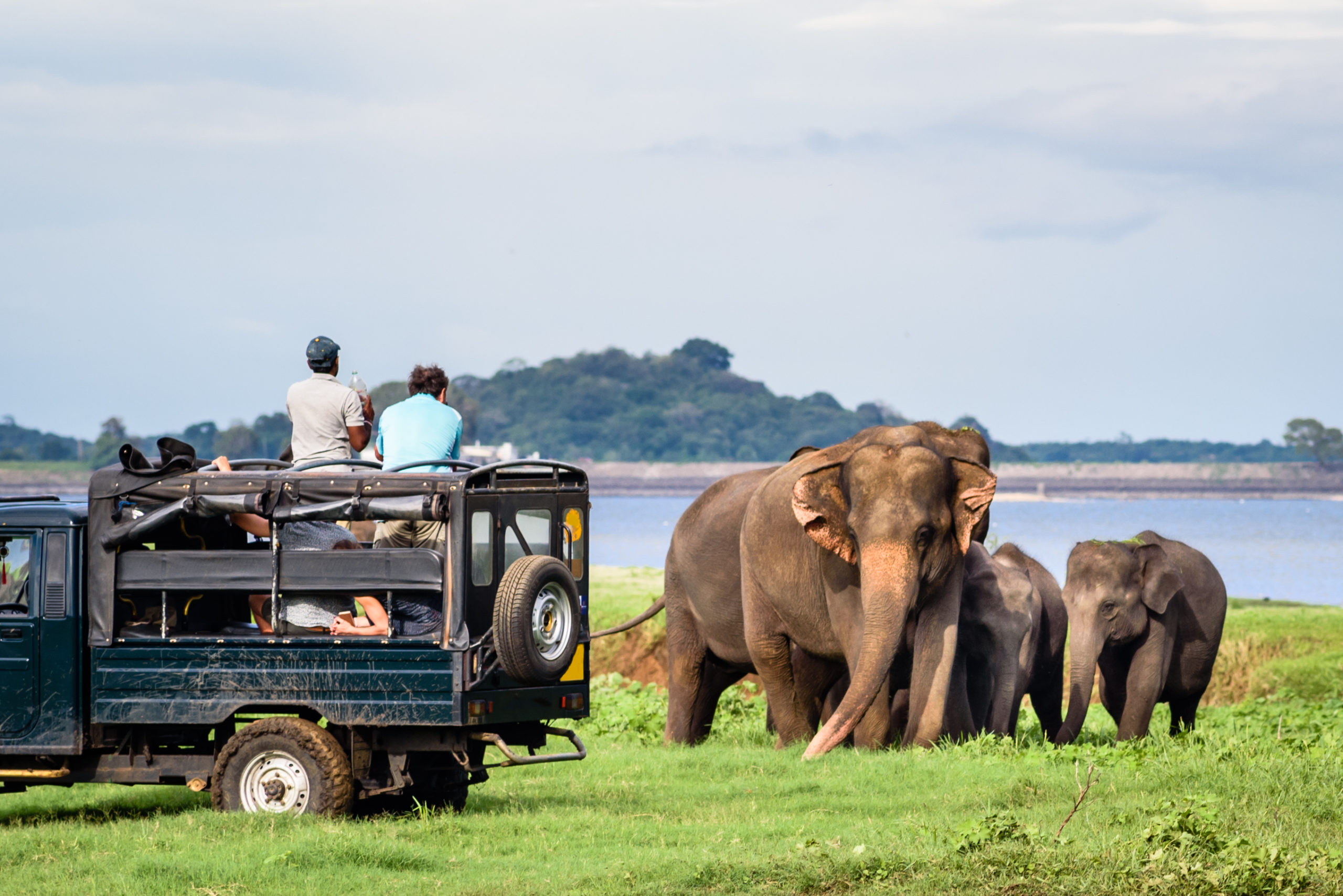 Sri Lanka Wildlife